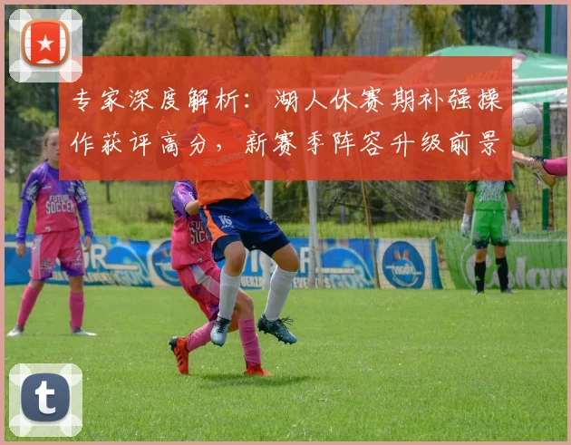 专家深度解析:湖人休赛期补强操作获评高分,新赛季阵容升级前景如何?
